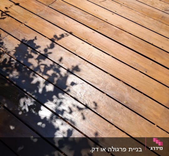 רצפת עץ עם צללים של עלים